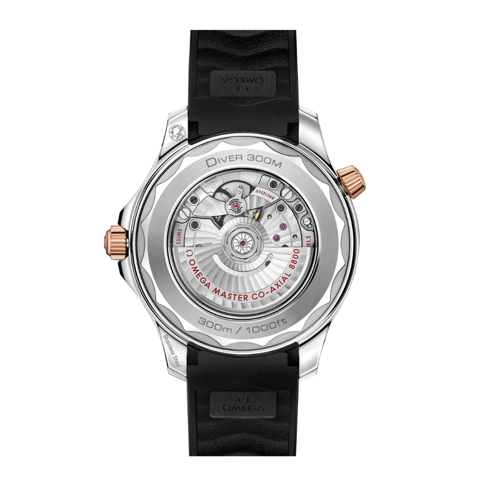 Omega Diver 300M Co‑Axial Master Chronometer 42 mm 210.22.42.20.01.002