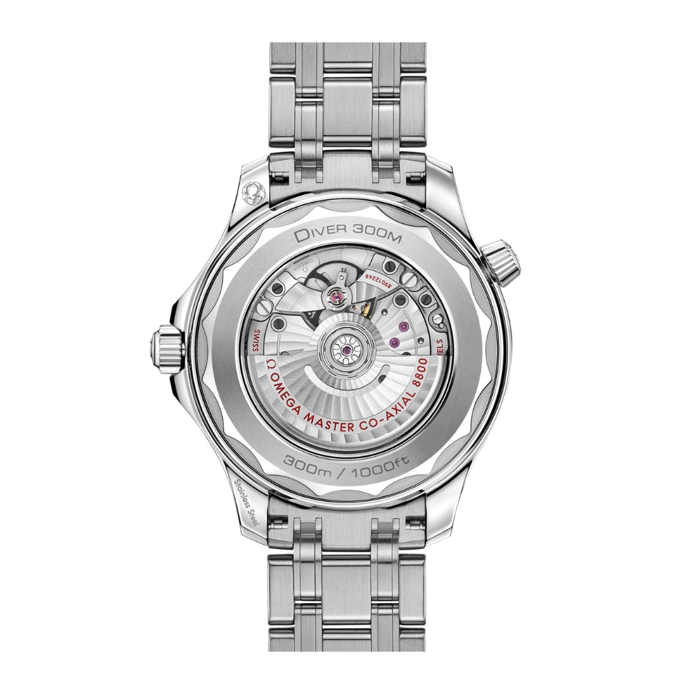 Omega Seamaster Diver 300M, 42 mm Steel On Steel 210.30.42.20.03.001